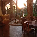 In Dimora Di Charme El Salento Bed & Breakfast Felline